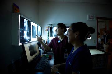 Two clinicians reading x-rays